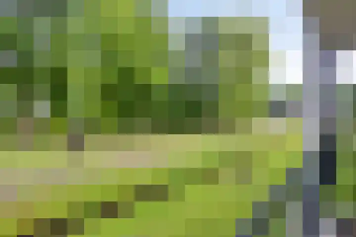 Vlijtsemolen 25 Apeldoorn thumbnail 28