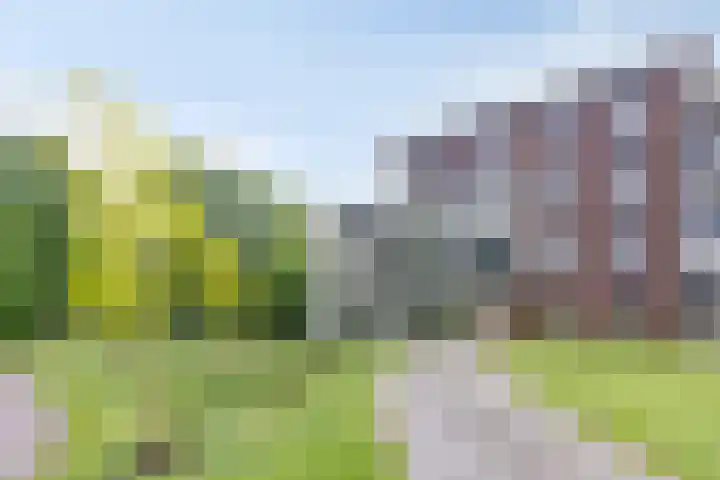 Vlijtsemolen 25 Apeldoorn thumbnail 32