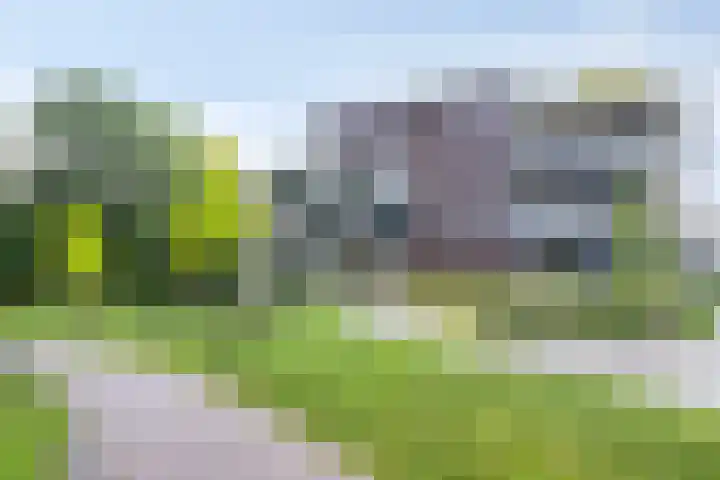 Vlijtsemolen 25 Apeldoorn thumbnail 33