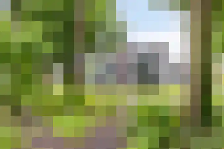 Vlijtsemolen 25 Apeldoorn thumbnail 36
