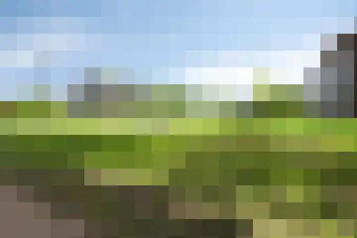 Vlijtsemolen 25 Apeldoorn thumbnail 38