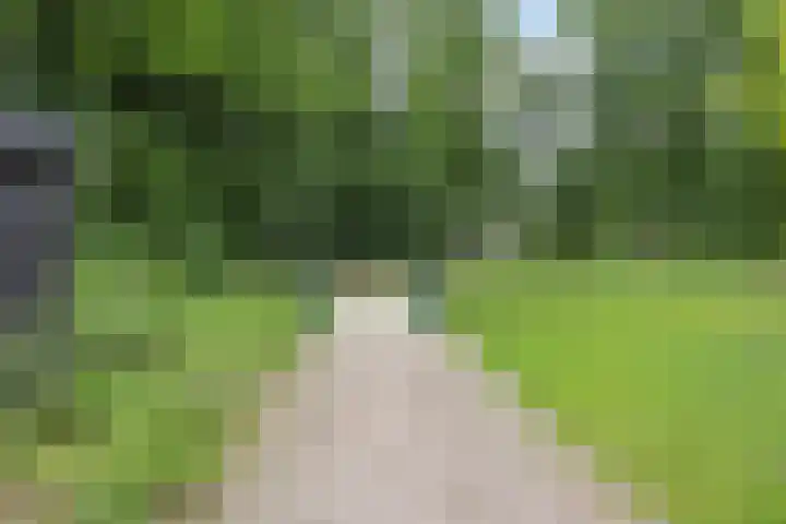 Vlijtsemolen 25 Apeldoorn thumbnail 39
