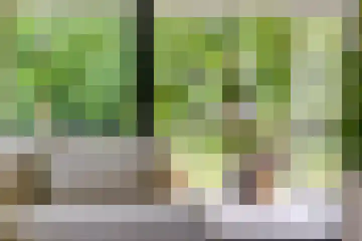 Vlijtsemolen 25 Apeldoorn thumbnail 4