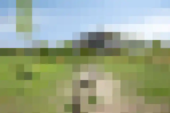 Vlijtsemolen 25 Apeldoorn thumbnail 40