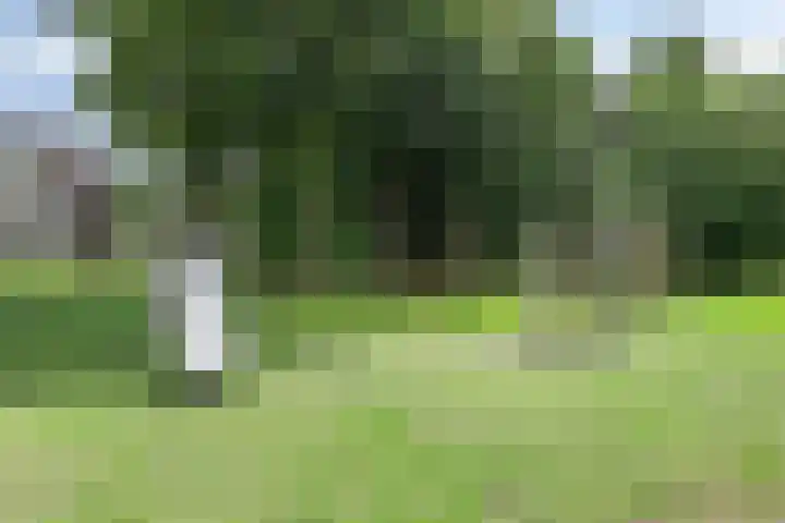 Vlijtsemolen 25 Apeldoorn thumbnail 41