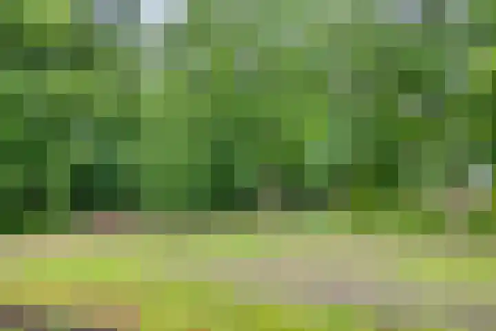 Vlijtsemolen 25 Apeldoorn thumbnail 42