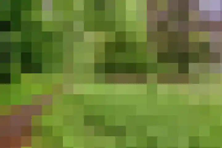 Vlijtsemolen 25 Apeldoorn thumbnail 43