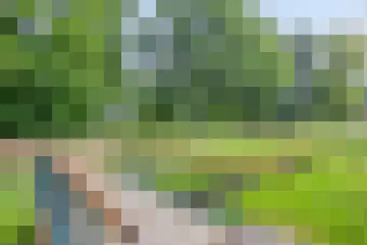 Vlijtsemolen 25 Apeldoorn thumbnail 44