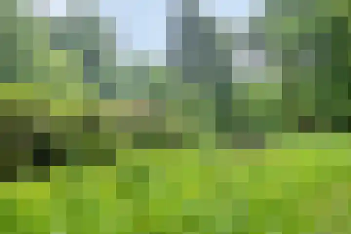 Vlijtsemolen 25 Apeldoorn thumbnail 45