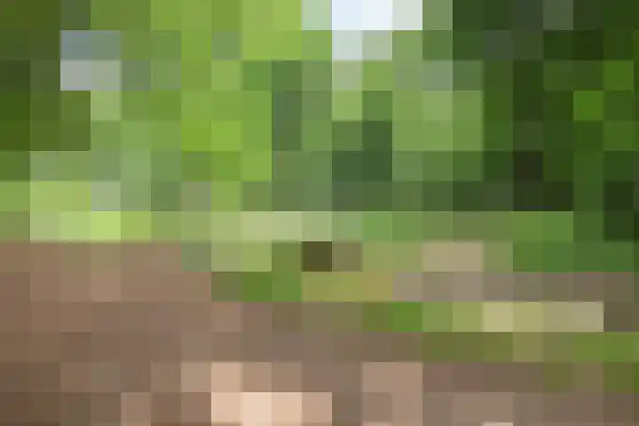Vlijtsemolen 25 Apeldoorn thumbnail 46