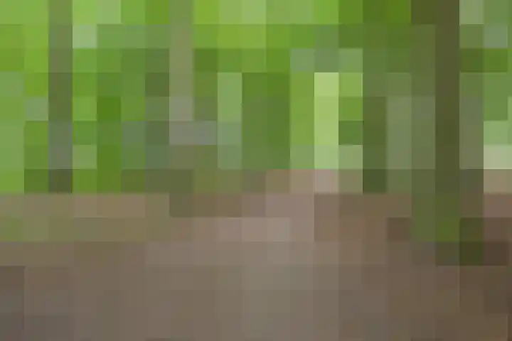 Vlijtsemolen 25 Apeldoorn thumbnail 47
