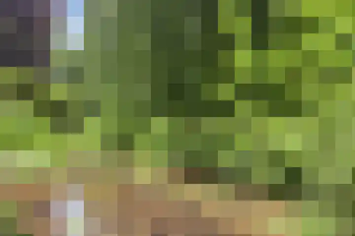 Vlijtsemolen 25 Apeldoorn thumbnail 48