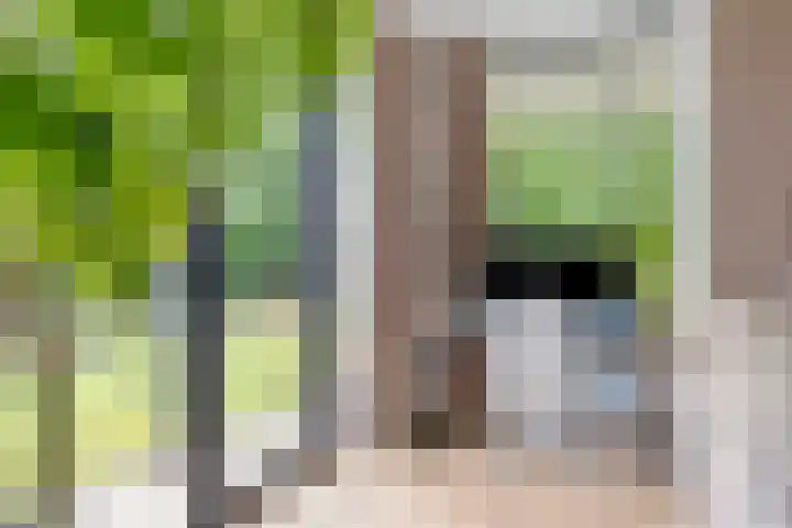Vlijtsemolen 25 Apeldoorn thumbnail 6