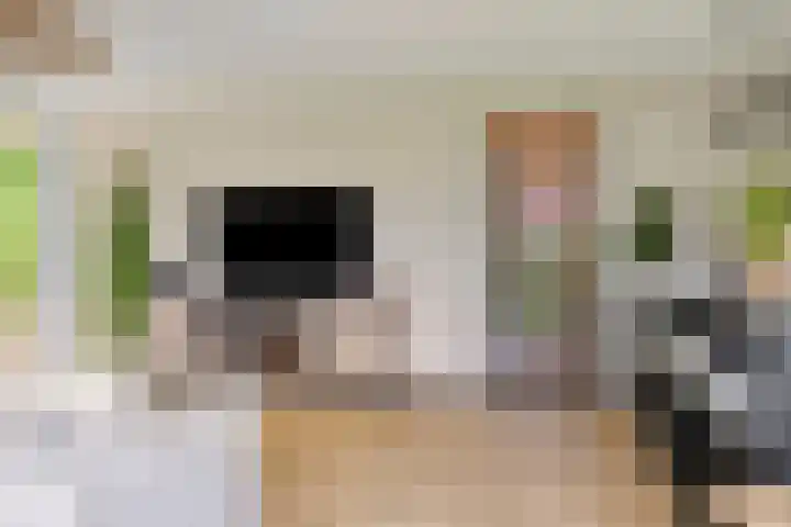 Vlijtsemolen 25 Apeldoorn thumbnail 7