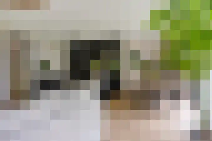 Vlijtsemolen 25 Apeldoorn thumbnail 8