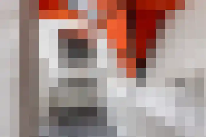 Vlijtseweg 29 Apeldoorn thumbnail 19