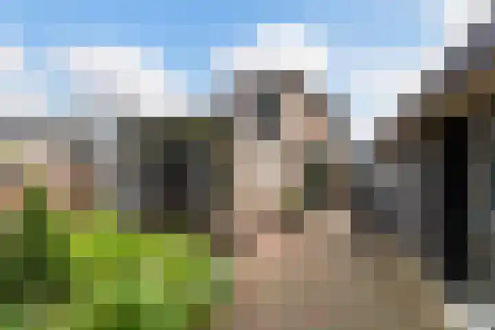 Vlijtseweg 29 Apeldoorn thumbnail 21
