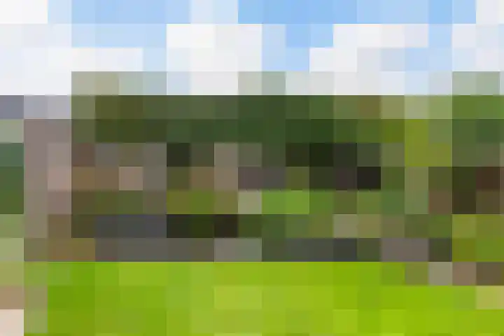 Vlijtseweg 29 Apeldoorn thumbnail 25