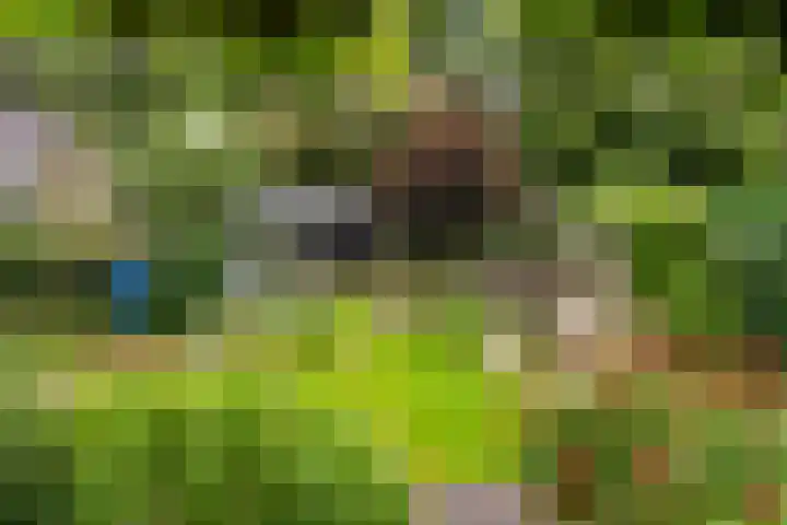 Vlijtseweg 29 Apeldoorn thumbnail 26