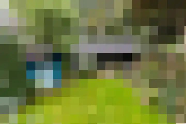 Vlijtseweg 29 Apeldoorn thumbnail 27