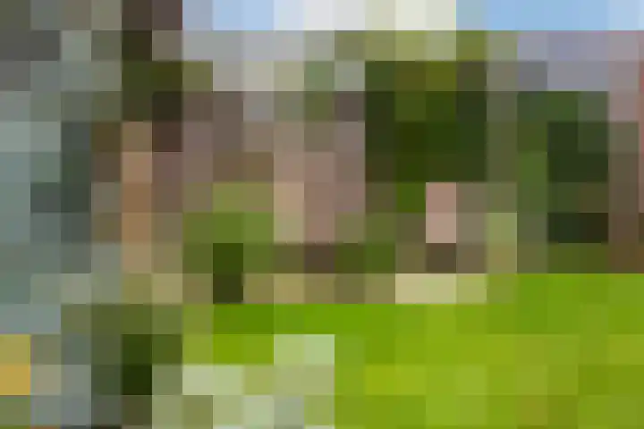 Vlijtseweg 29 Apeldoorn thumbnail 28