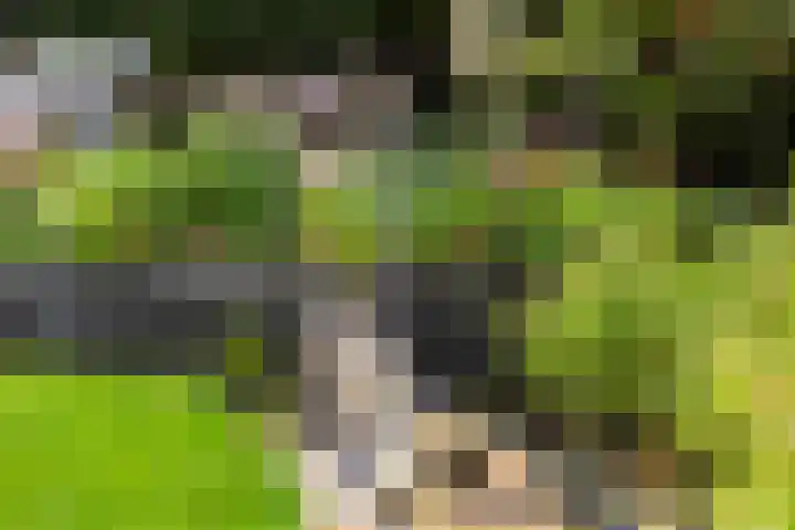 Vlijtseweg 29 Apeldoorn thumbnail 29