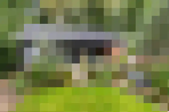 Vlijtseweg 29 Apeldoorn thumbnail 30