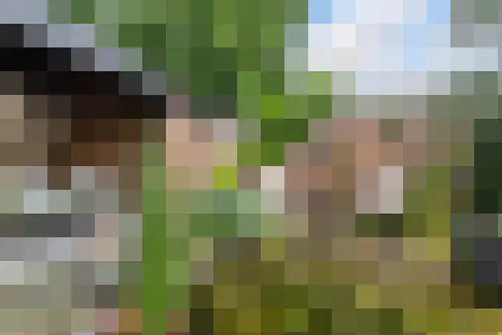 Vlijtseweg 29 Apeldoorn thumbnail 31