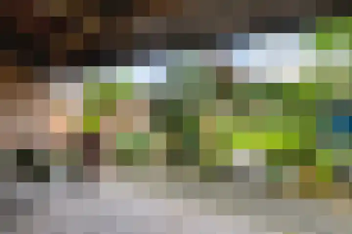 Vlijtseweg 29 Apeldoorn thumbnail 33