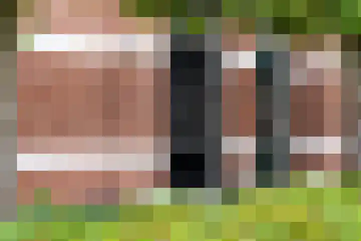 Vlijtseweg 29 Apeldoorn thumbnail 4