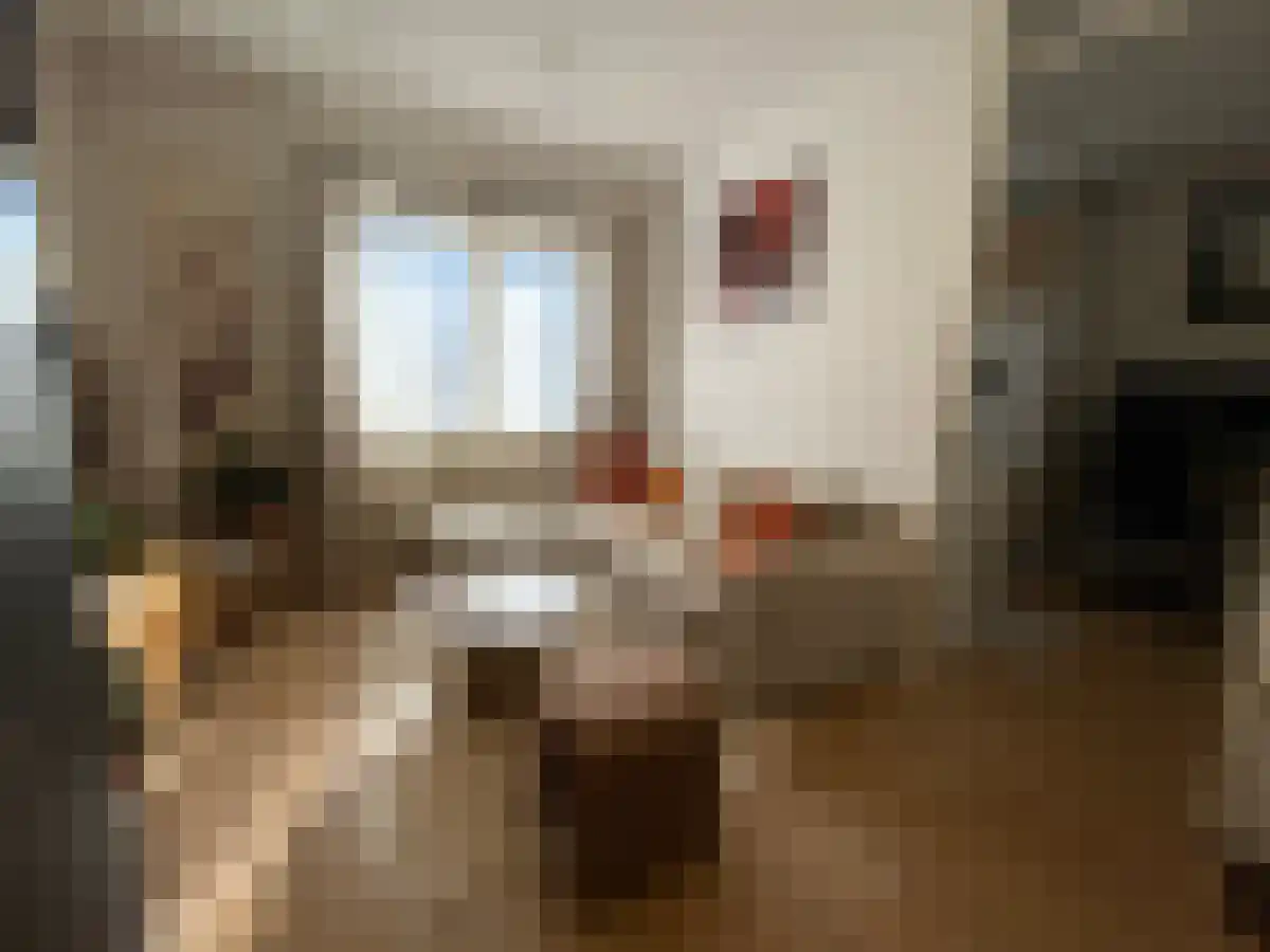 Vlijtseweg 35 Apeldoorn thumbnail 4