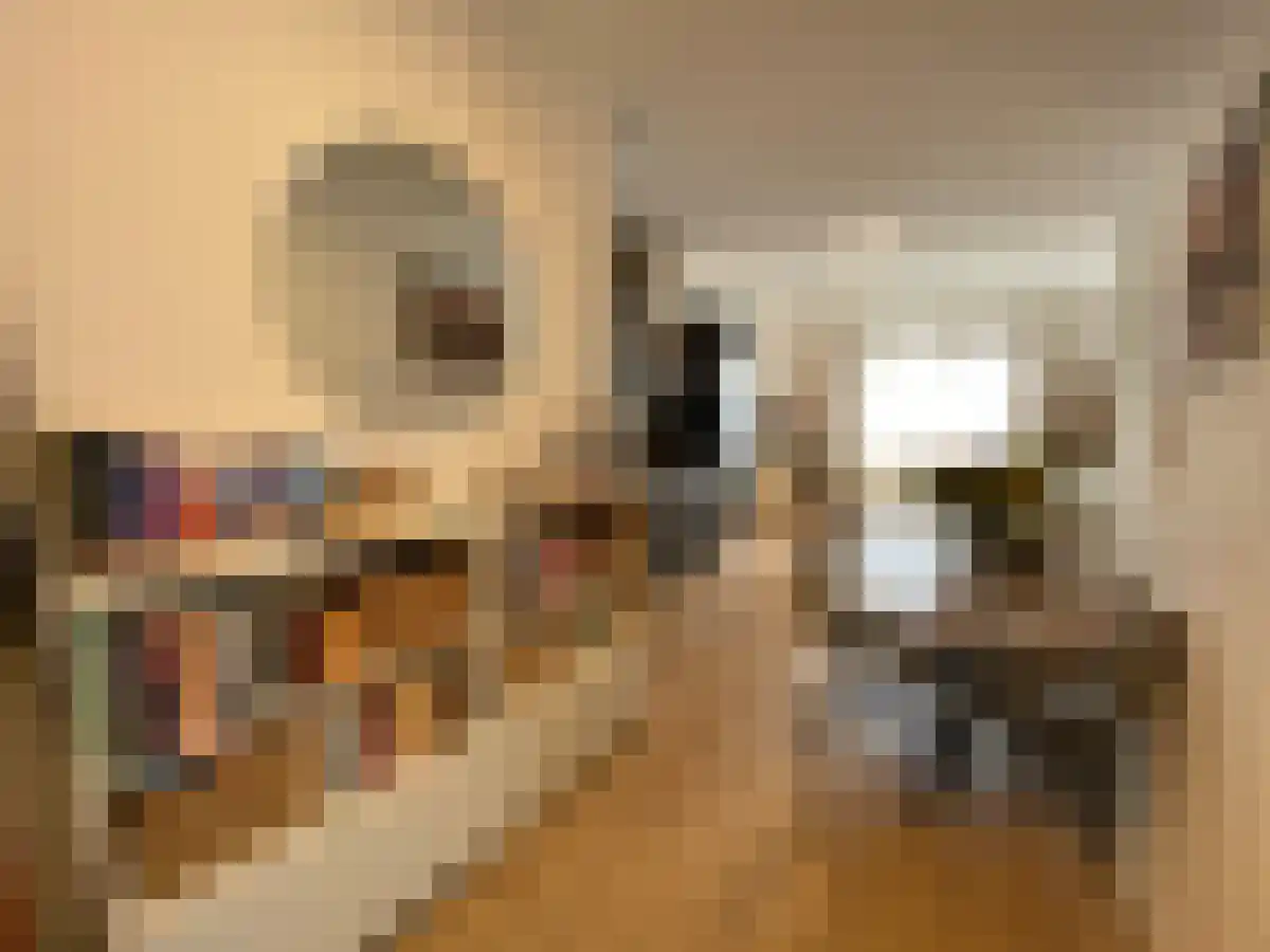 Vlijtseweg 35 Apeldoorn thumbnail 5