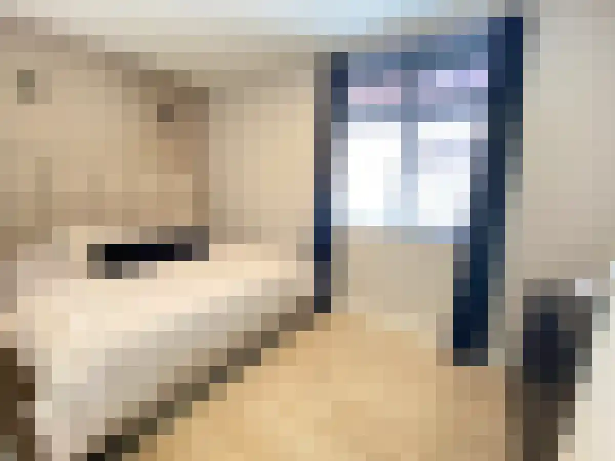 Vlijtseweg 35 Apeldoorn thumbnail 6