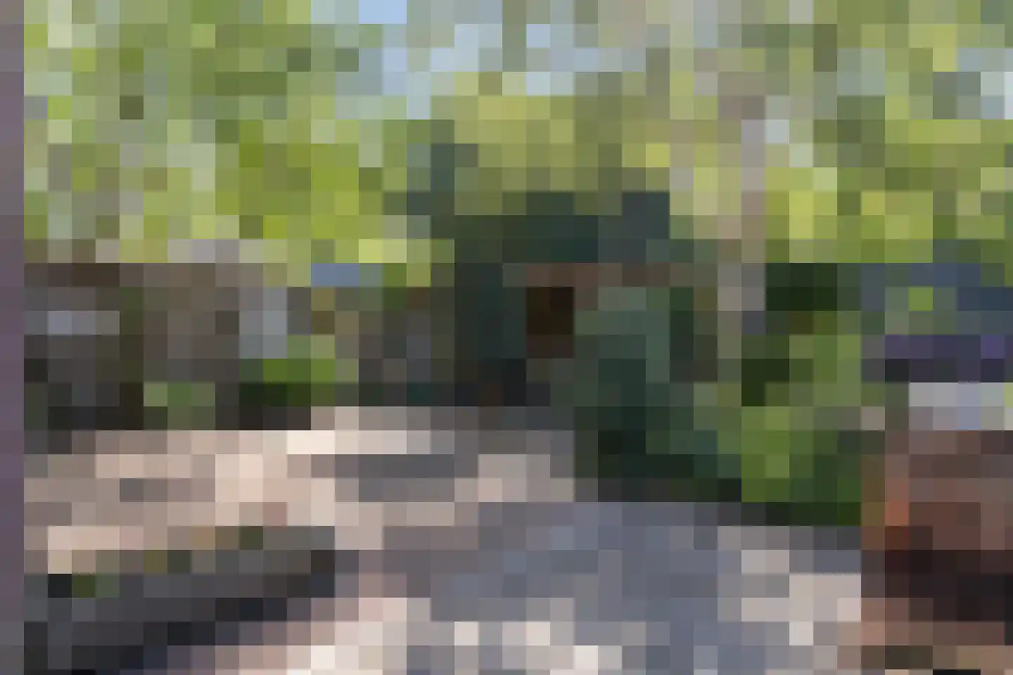 Vlijtseweg 81 Apeldoorn thumbnail 29
