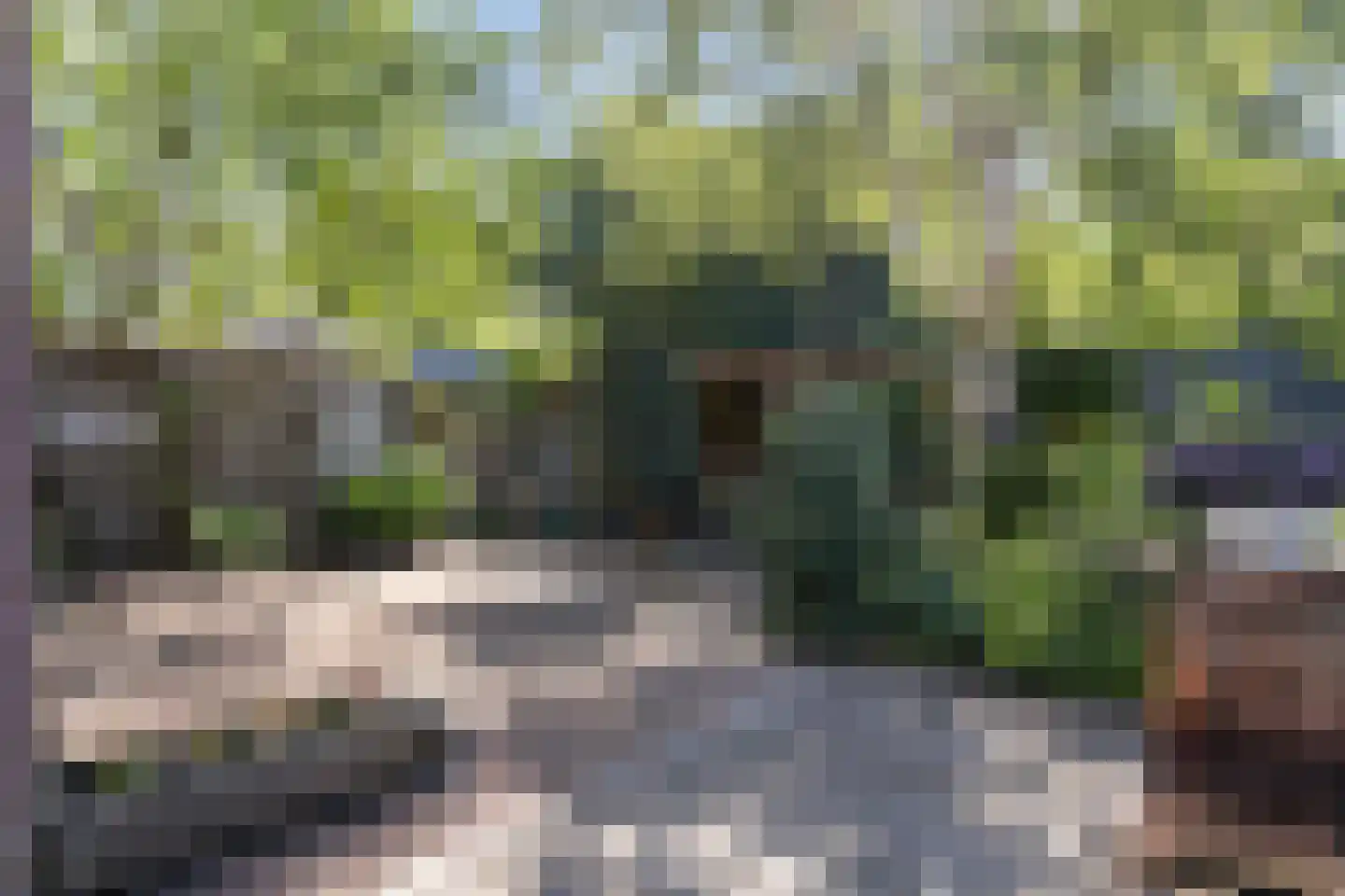 Vlijtseweg 81 Apeldoorn thumbnail 29