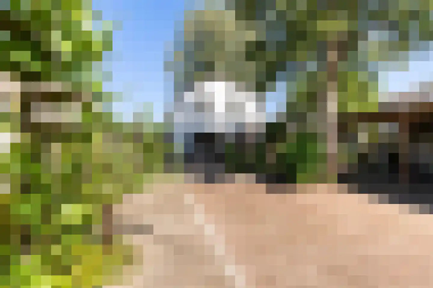 Vlijtseweg 81 Apeldoorn thumbnail 33