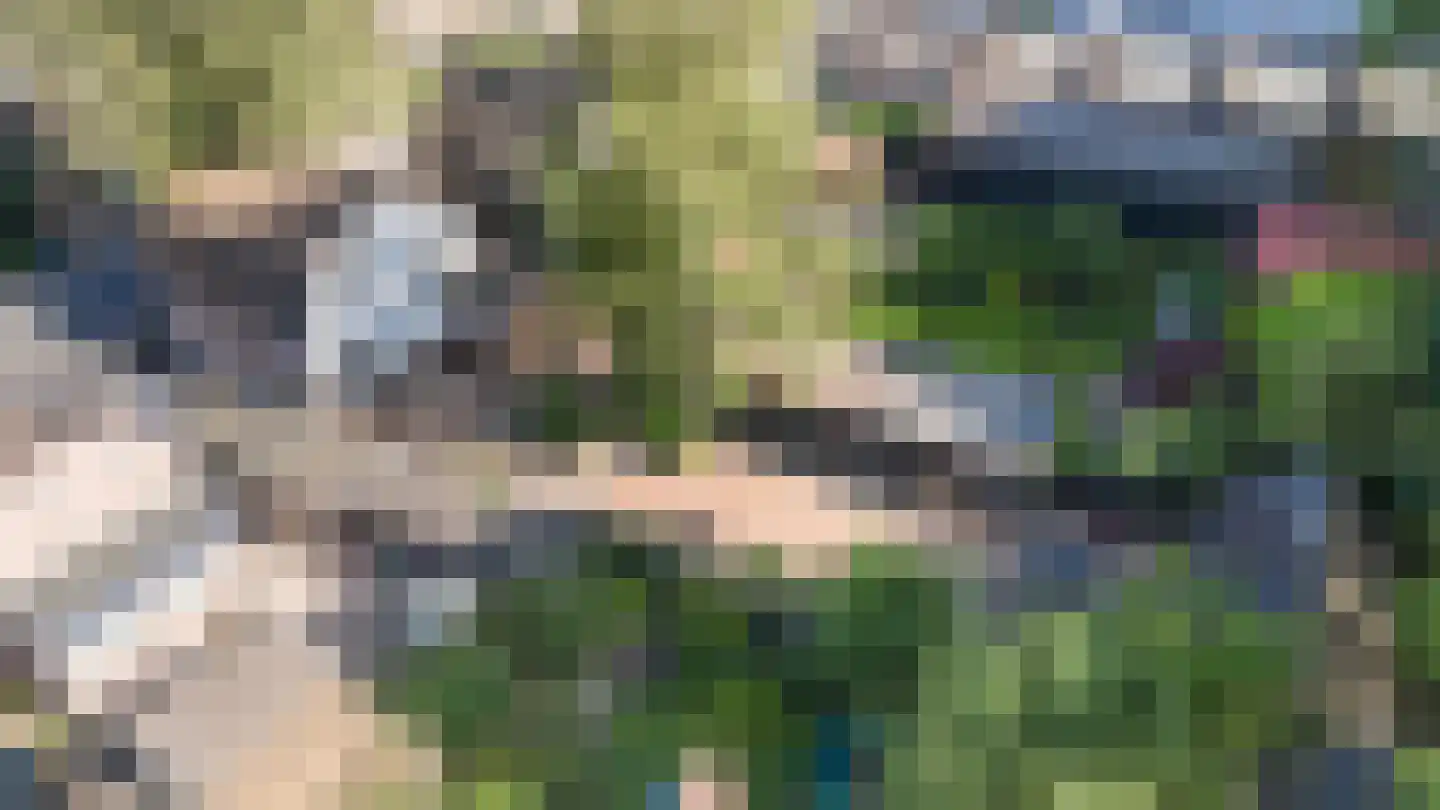 Vlijtseweg 81 Apeldoorn thumbnail 38