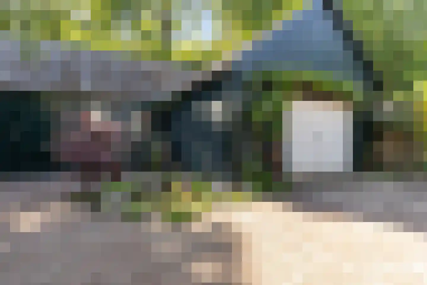 Vlijtseweg 81 Apeldoorn thumbnail 5