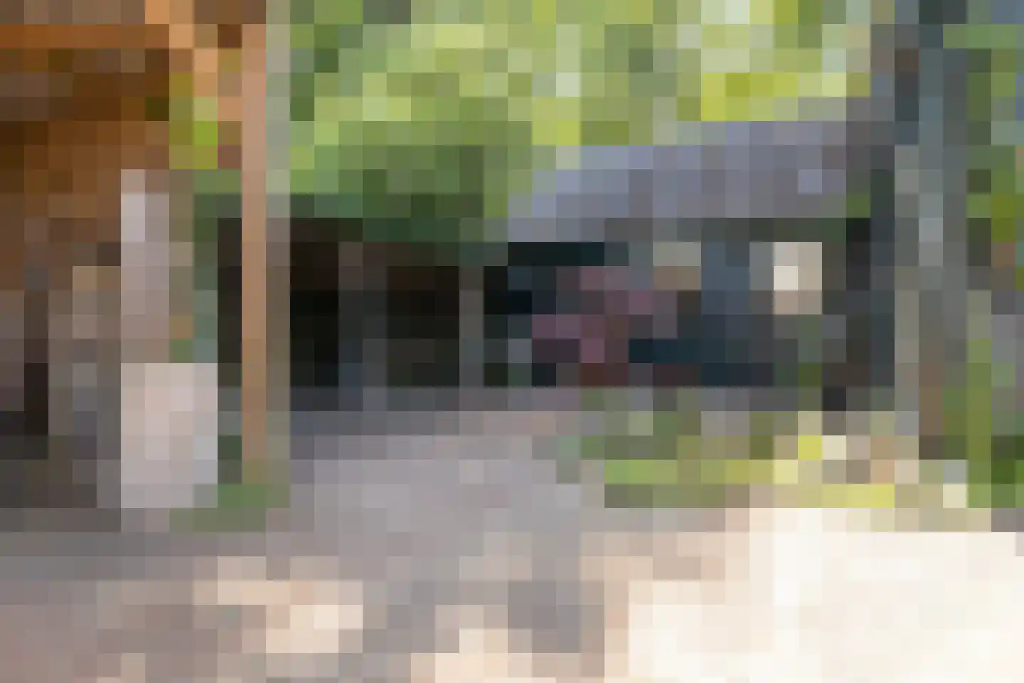 Vlijtseweg 81 Apeldoorn thumbnail 58