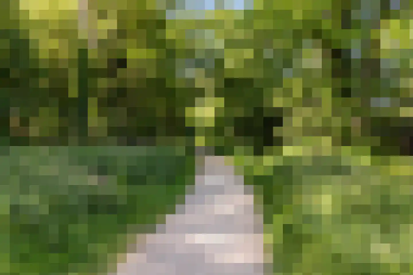 Vlijtseweg 81 Apeldoorn thumbnail 6