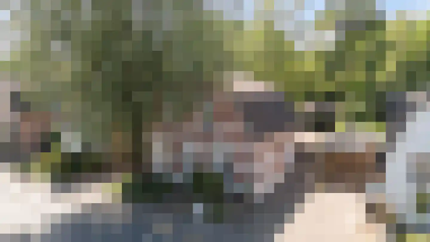 Vlijtseweg 81 Apeldoorn thumbnail 63