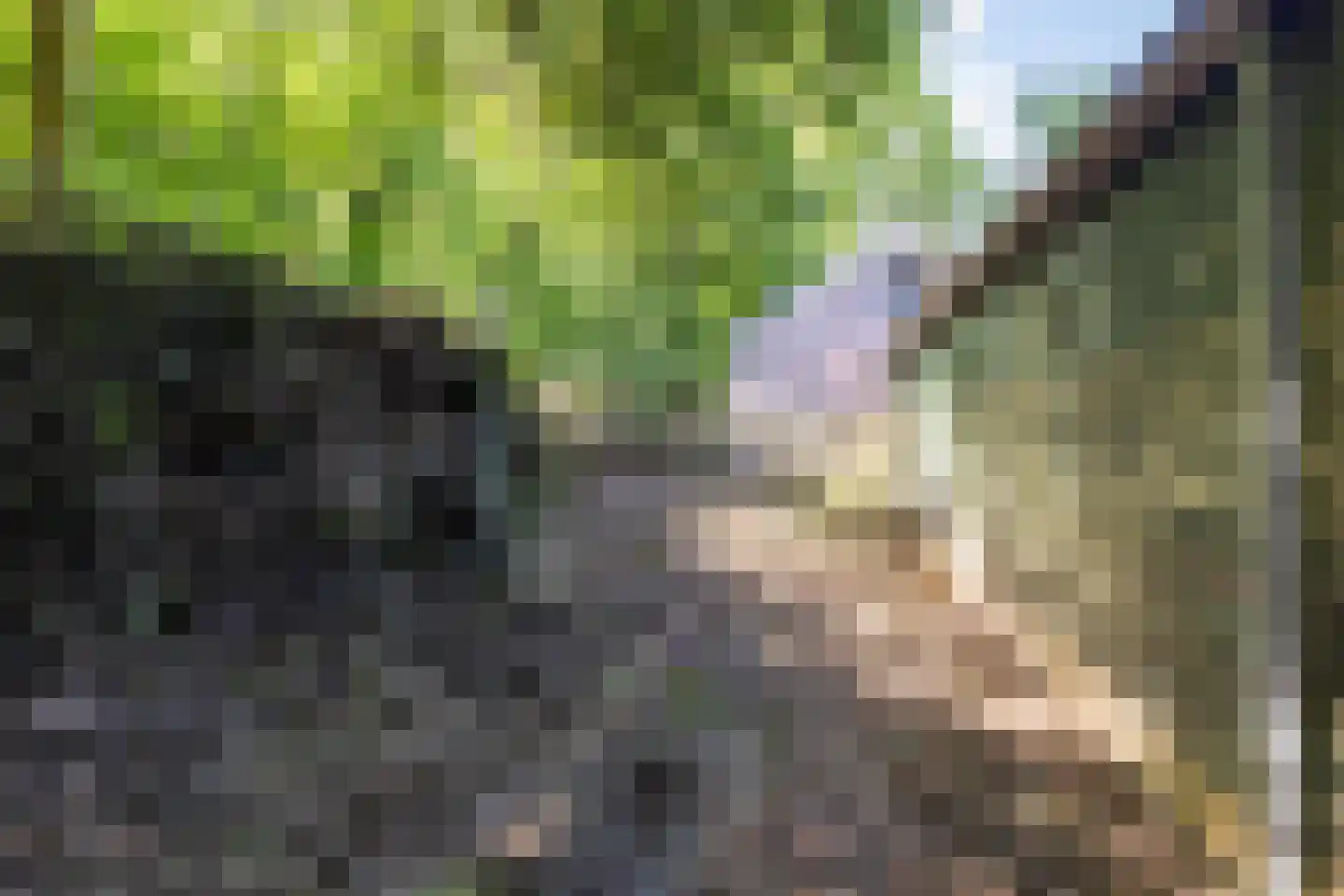 Vlijtseweg 81 Apeldoorn thumbnail 64