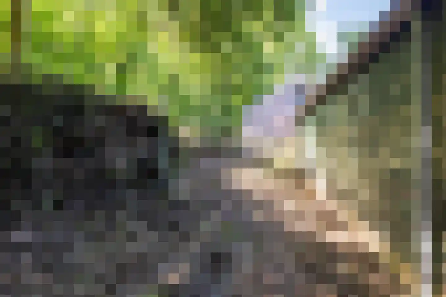 Vlijtseweg 81 Apeldoorn thumbnail 64