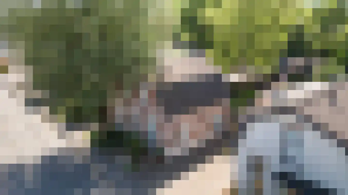 Vlijtseweg 81 Apeldoorn thumbnail 7
