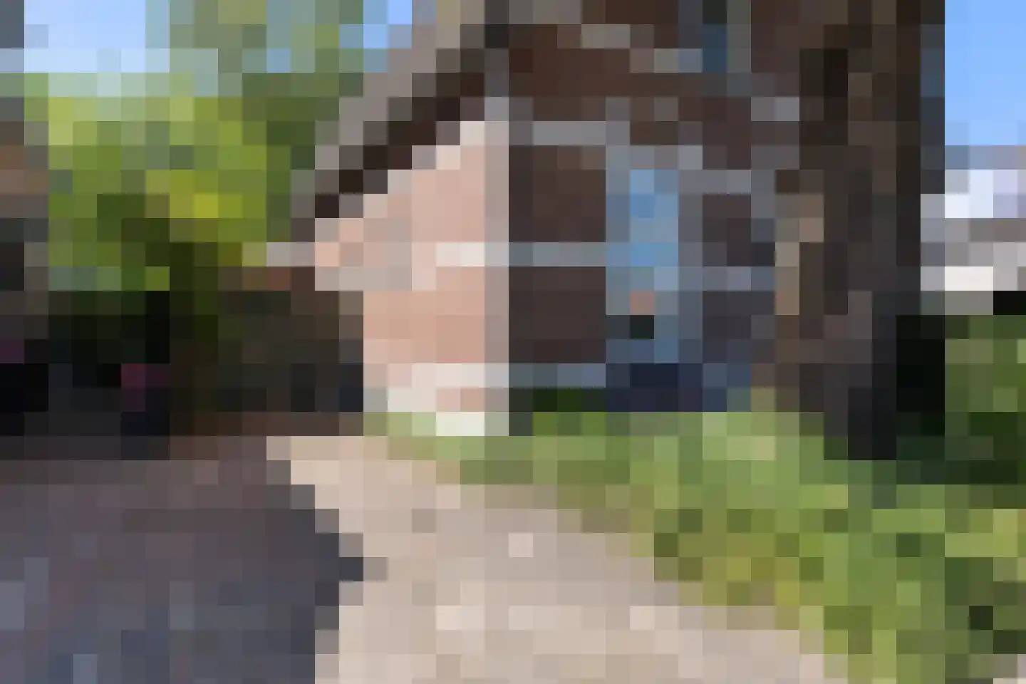 Vlijtseweg 81 Apeldoorn thumbnail 9