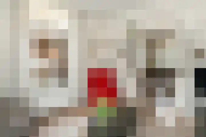 Vlijtweg 12 Epe thumbnail 11