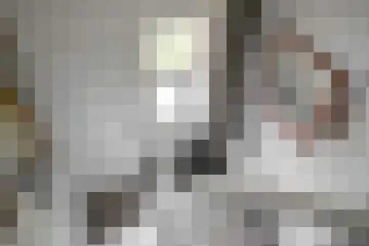 Vlijtweg 12 Epe thumbnail 24