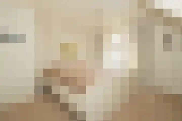 Vlijtweg 12 Epe thumbnail 26