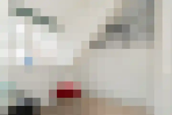 Vlijtweg 12 Epe thumbnail 30