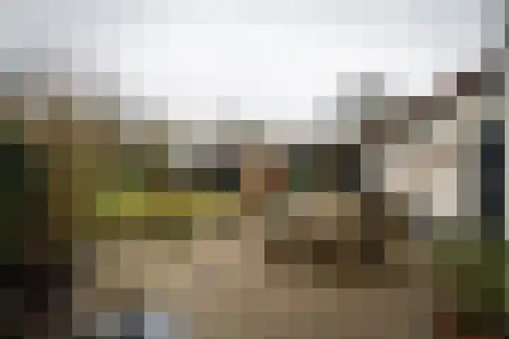 Vlijtweg 12 Epe thumbnail 35
